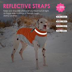 AOFITEE dog winter coat with reflective neckline and adjustable cord.
