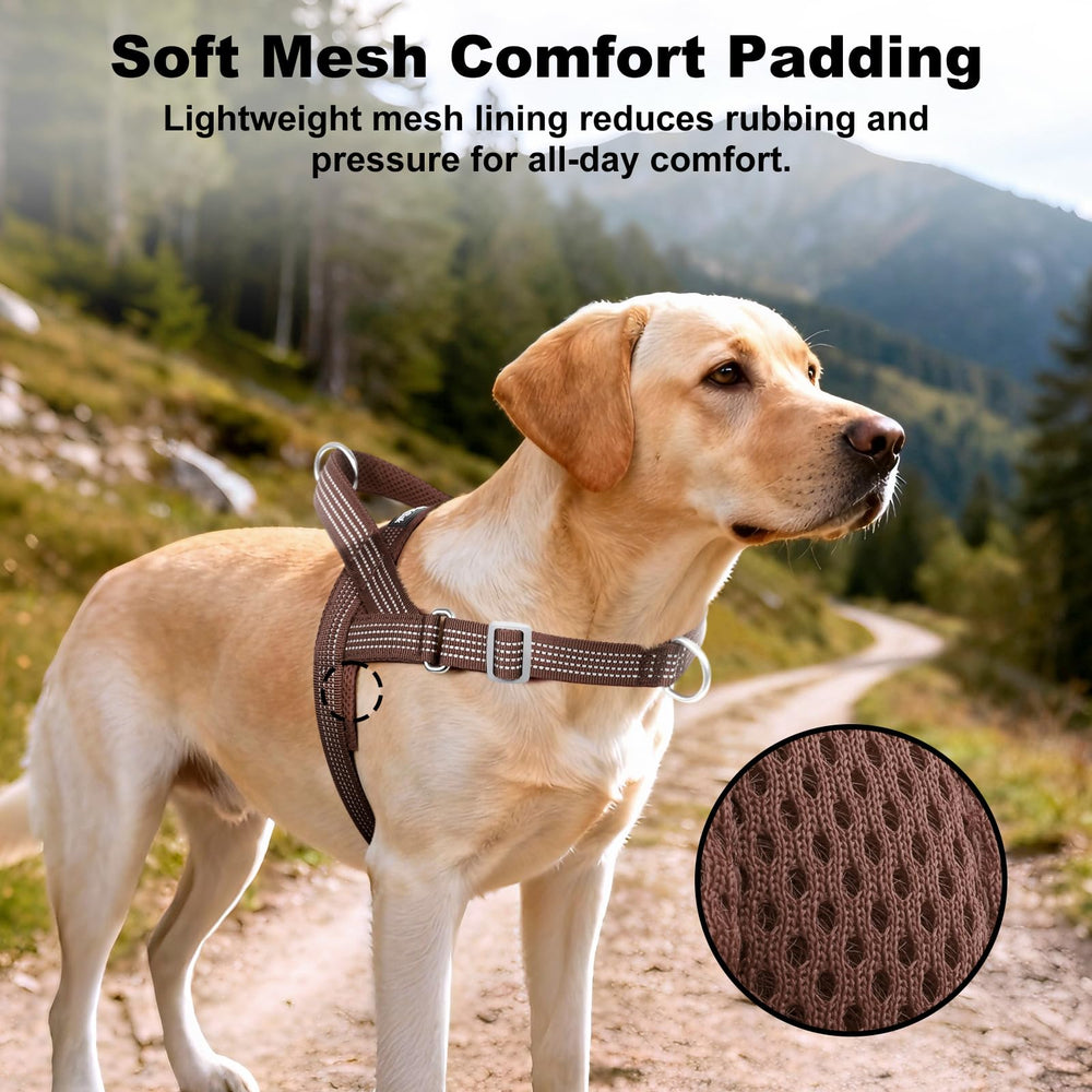 APAKBAK dog harness detail showing the back leash ring.