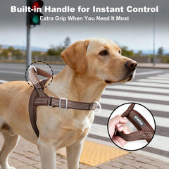 APAKBAK dog harness detail showing the front leash clip.