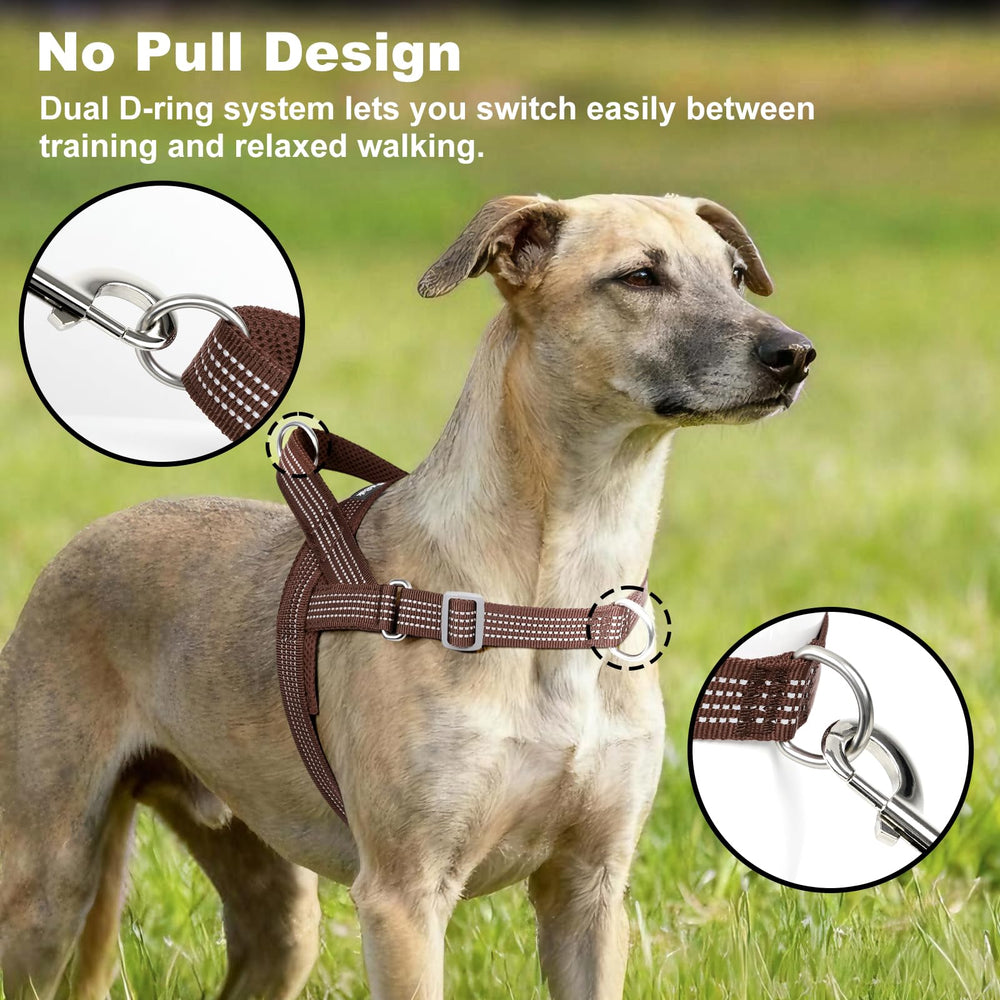 APAKBAK dog harness close-up showing its soft mesh padding.