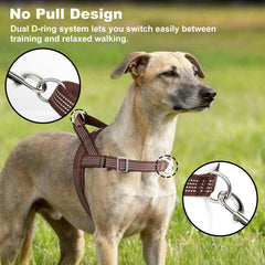 APAKBAK dog harness close-up showing its soft mesh padding.