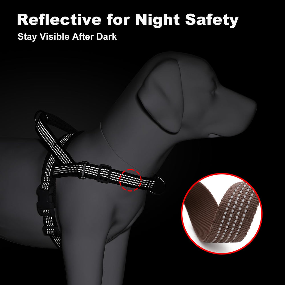 APAKBAK dog harness shown in use during a walk.