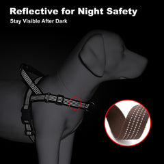 APAKBAK dog harness shown in use during a walk.