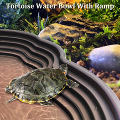 Apatal reptile water dish set displayed with its bowls and included accessories.