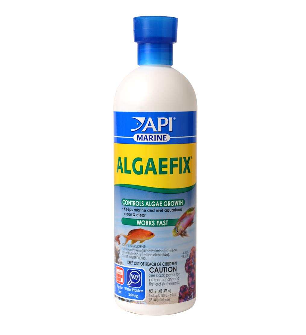 API MARINE ALGAEFIX algae control bottle shown from the front.
