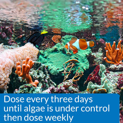API MARINE ALGAEFIX bottle label shown in a close-up view.