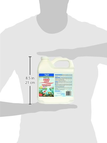API POND AMMO-LOCK ammonia detoxifier shown in the context of fish pond care.