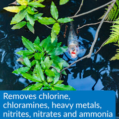 API Pond Aqua Essential pond water conditioner bottle cap and neck shown close-up.