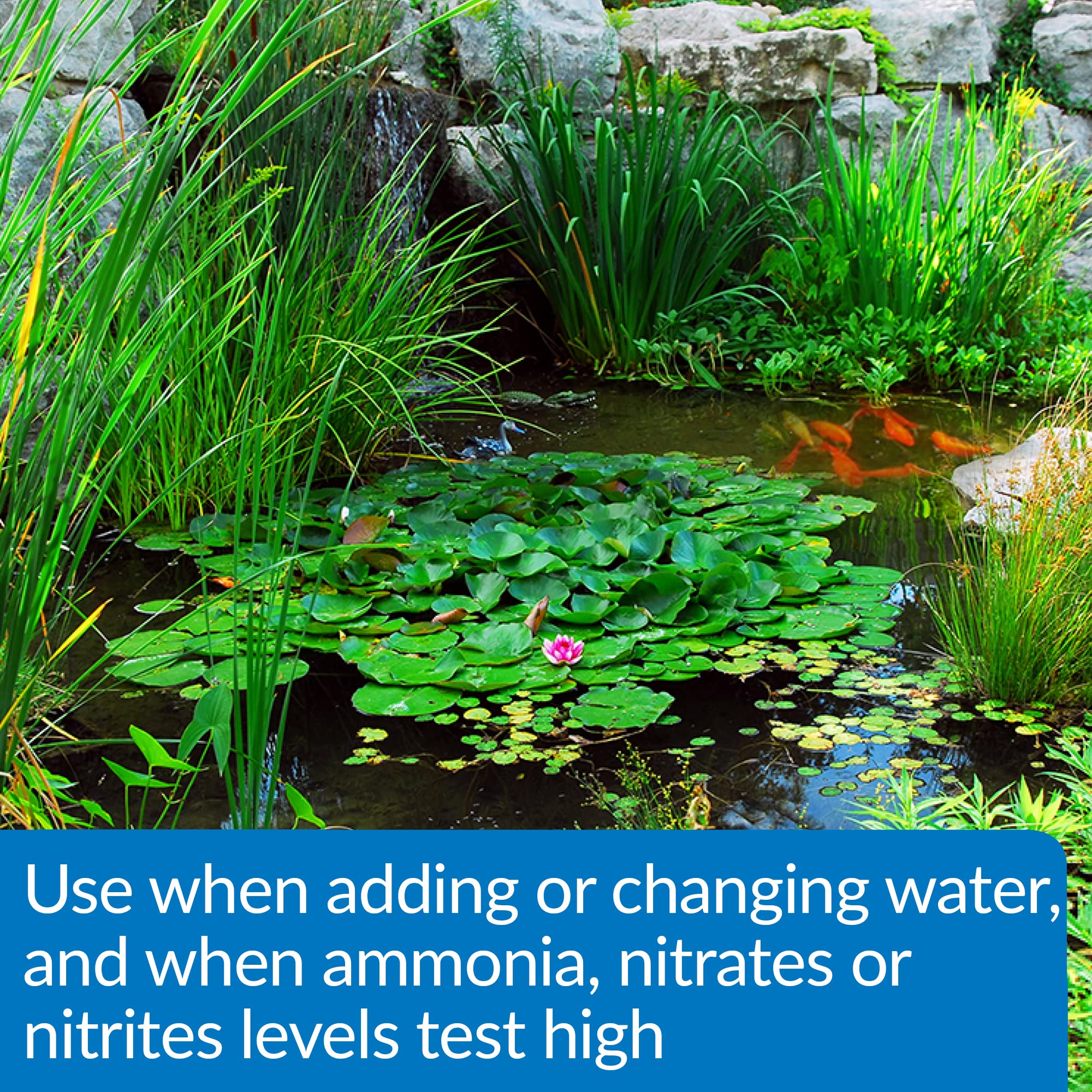 API Pond Aqua Essential pond water conditioner shown beside a pond.