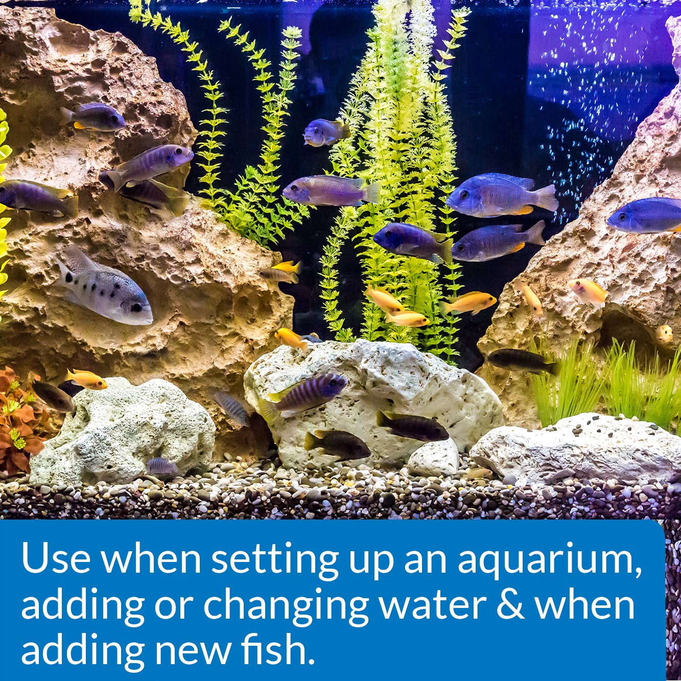 API Quick Start nitrifying bacteria bottle label shown in close-up.