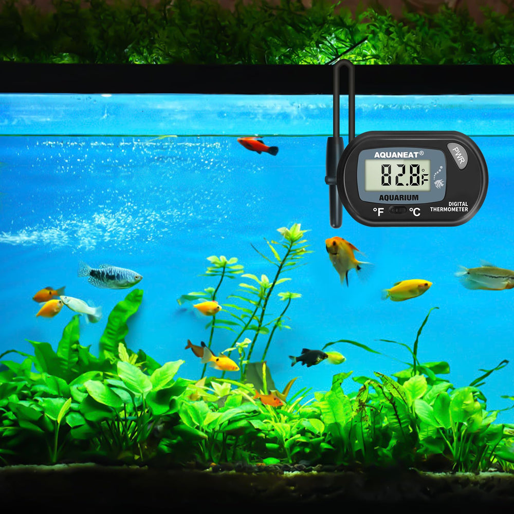 AQUANEAT aquarium thermometer with its LR44 button cell battery.