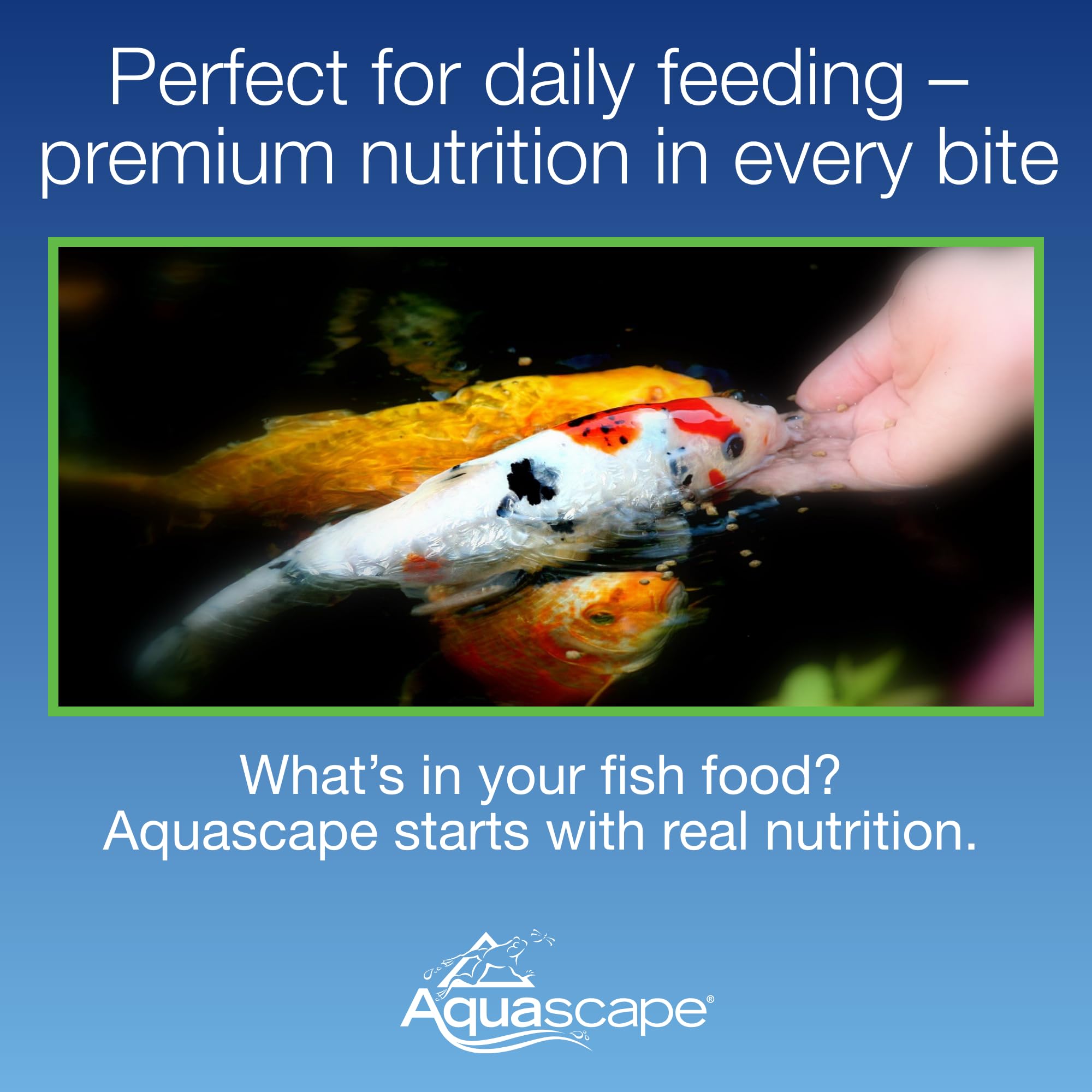 Aquascape pond and koi fish food with the medium pellets in focus.