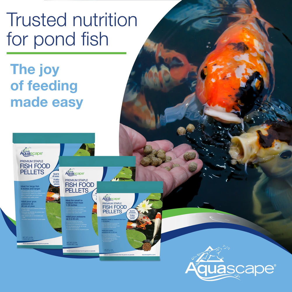Aquascape pond and koi fish food shown during pond feeding.