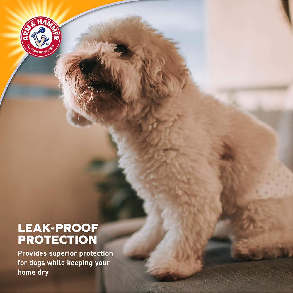 ARM & HAMMER male dog belly band wrap shown in use on a medium male dog.