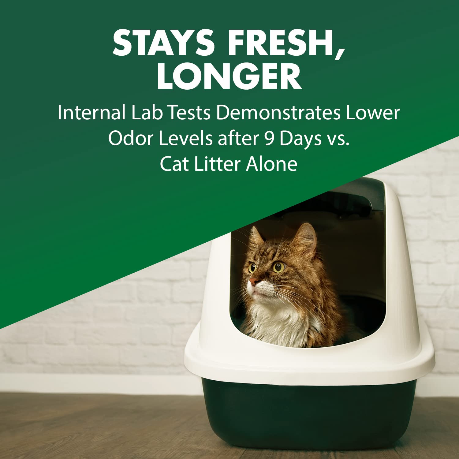 ARM & HAMMER Double Duty cat litter deodorizer being sprinkled into a litter box.