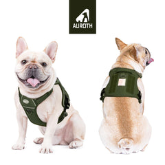 AUROTH dog harness shown from the back with its rear leash attachment point.