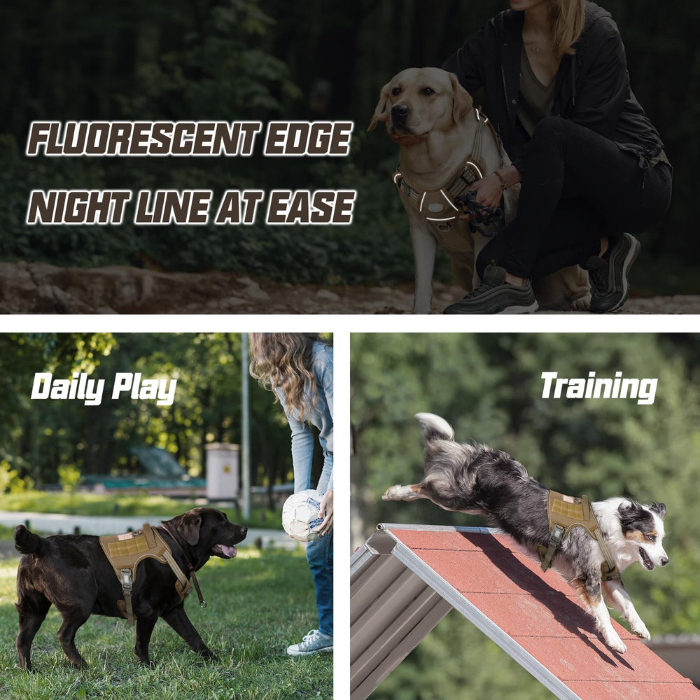 AUROTH dog harness showing the front metal leash attachment point.