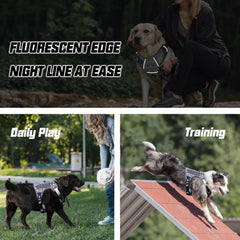AUROTH dog harness detail showing padded areas and breathable mesh.