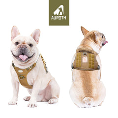 AUROTH dog harness close-up showing a quick-release buckle.
