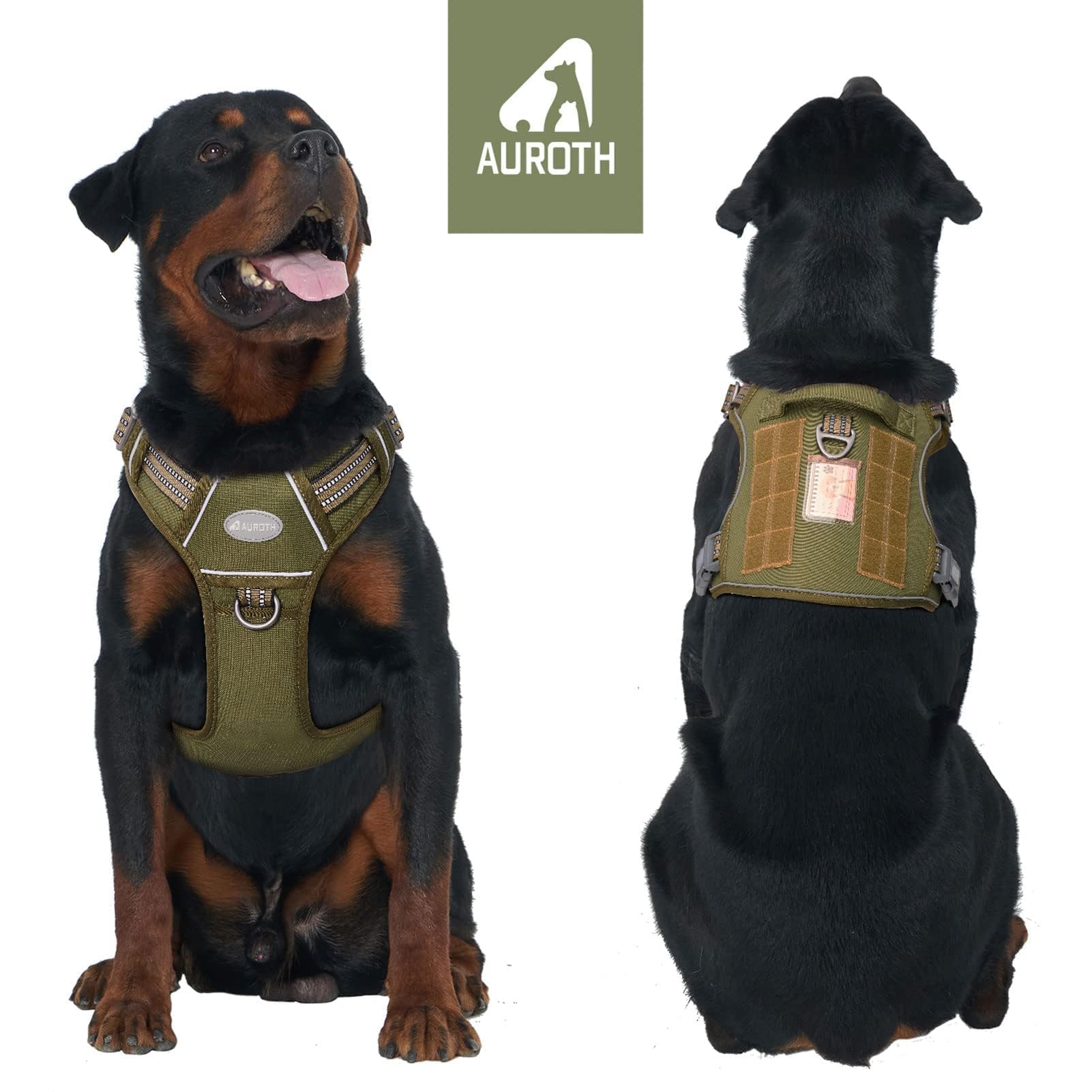 AUROTH Dog Harness quick-release buckles shown in close-up.