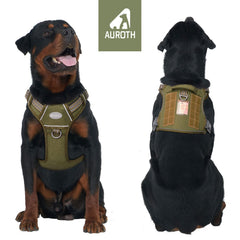 AUROTH Dog Harness quick-release buckles shown in close-up.