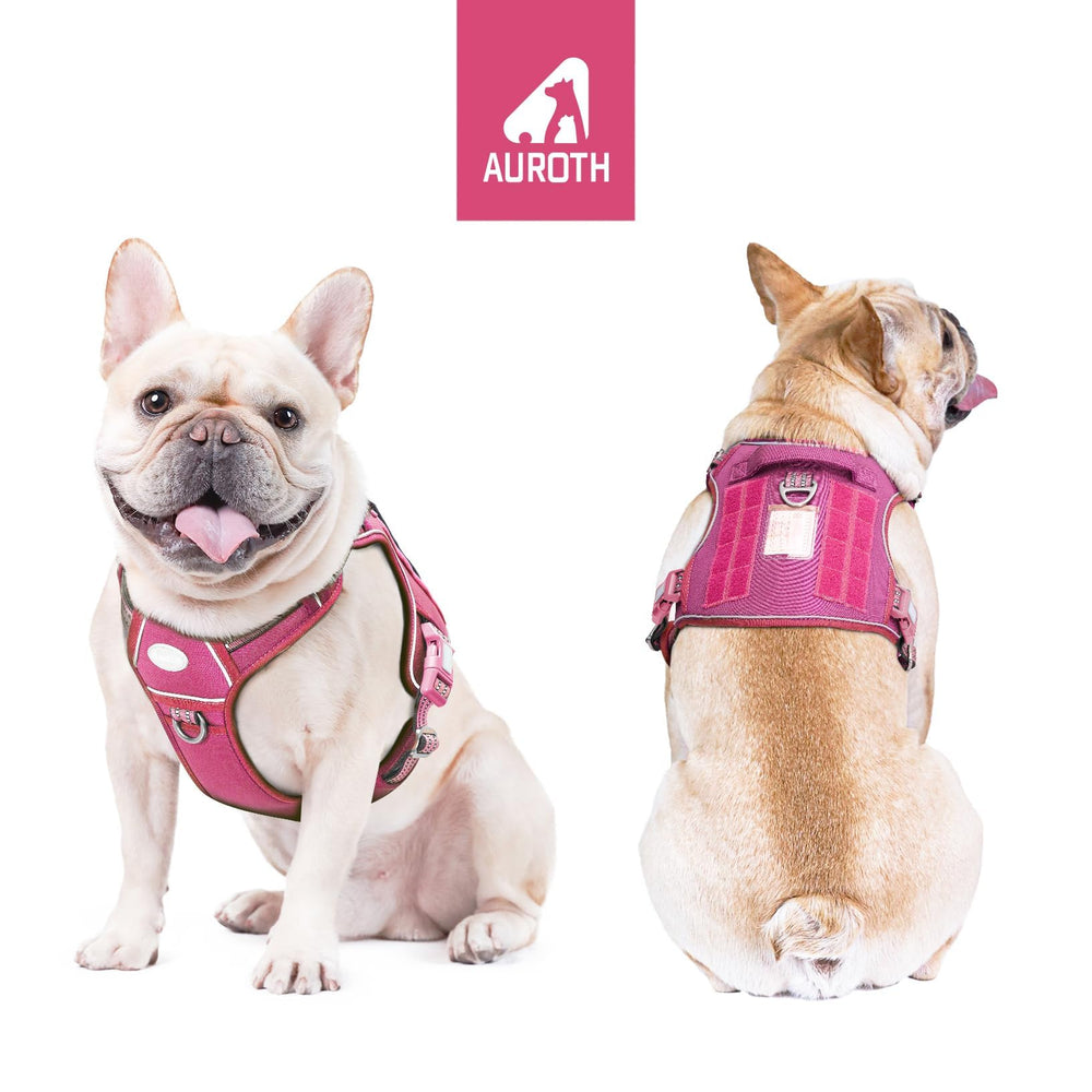 AUROTH Dog Harness close-up showing the quick-release buckles.
