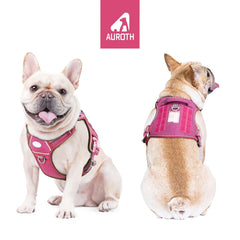 AUROTH Dog Harness close-up showing the quick-release buckles.