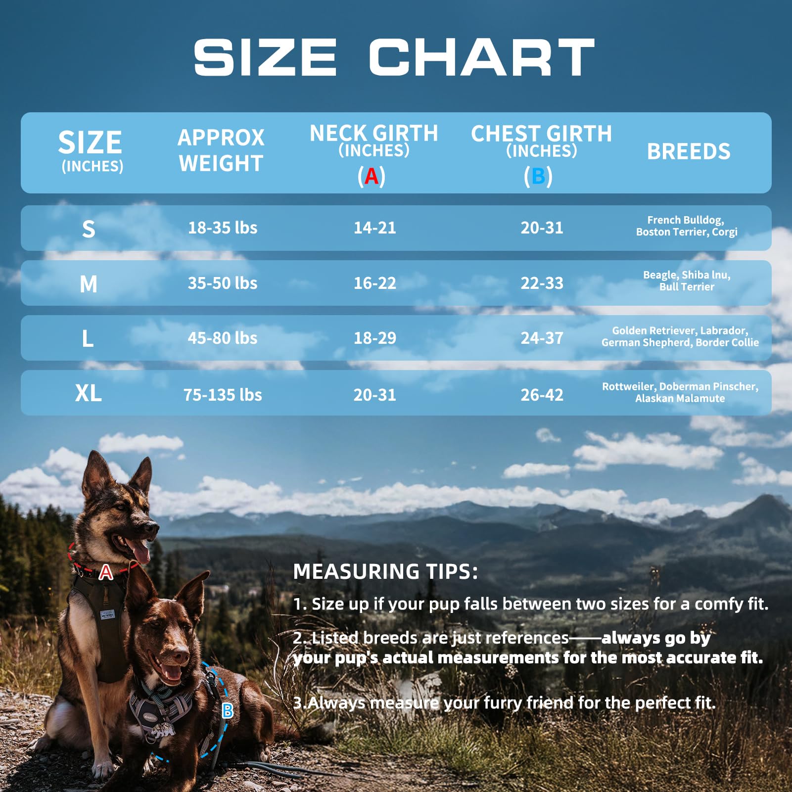 AUROTH Tactical Dog Harness with the included BEST FRIEND badge.