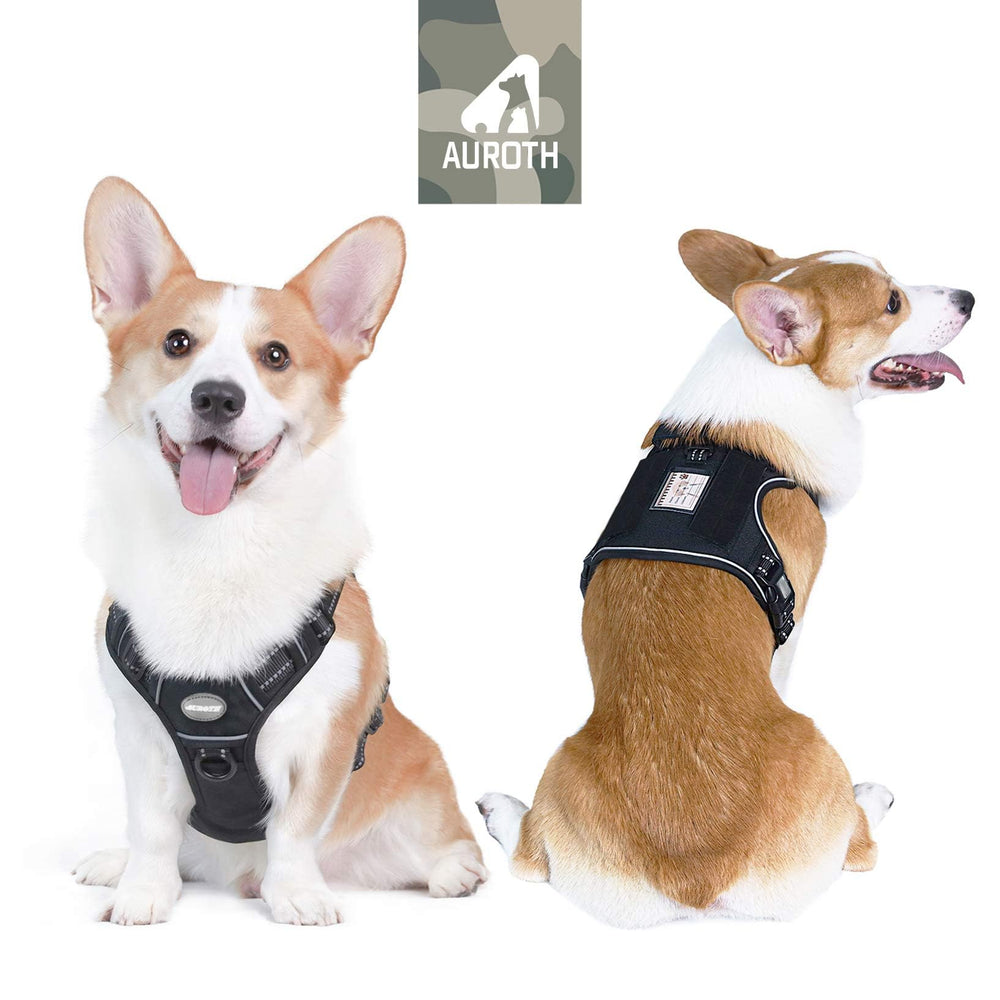 AUROTH Tactical Dog Harness quick-release buckle detail.