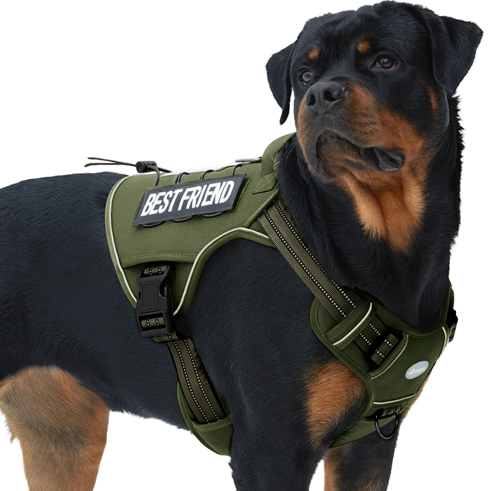 AUROTH tactical dog harness shown from the front.