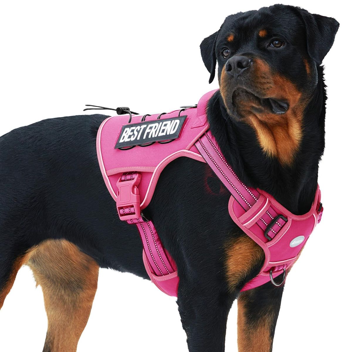 AUROTH tactical dog harness shown from the front.
