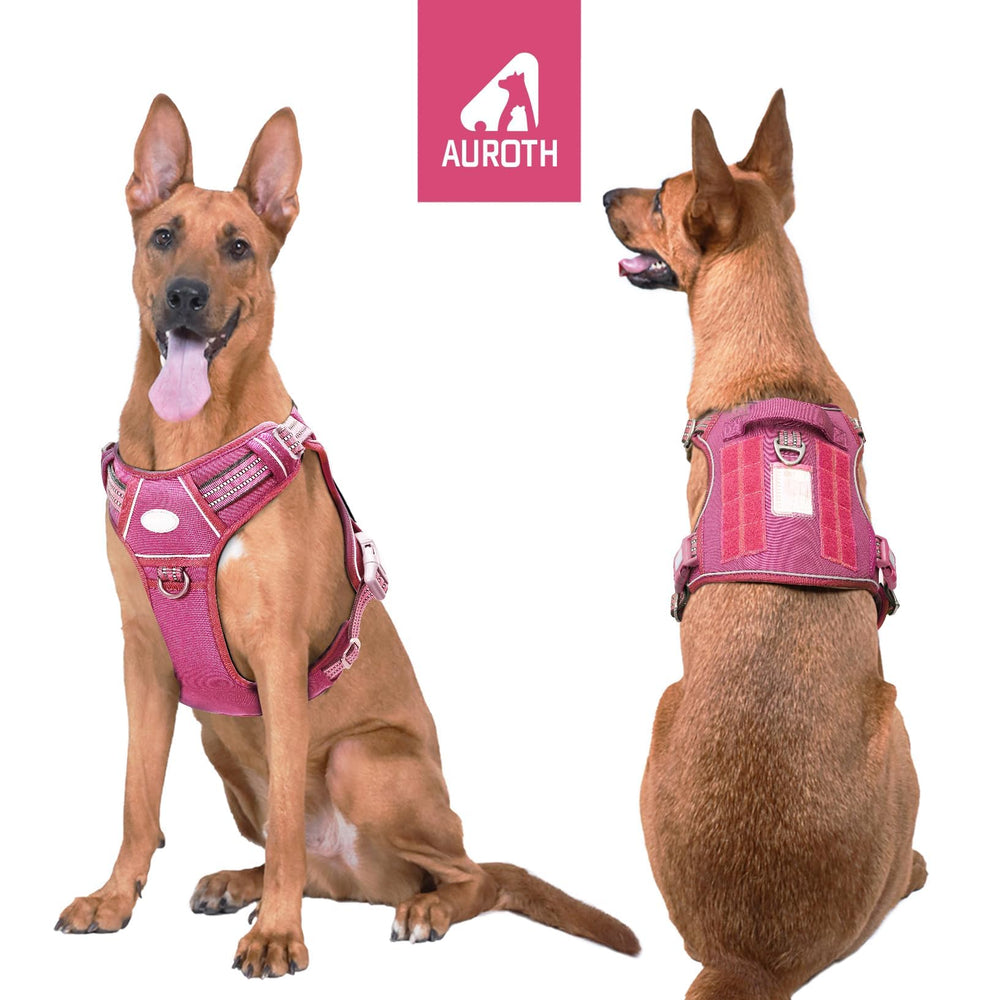 AUROTH tactical dog harness showing MOLLE strips on both sides.