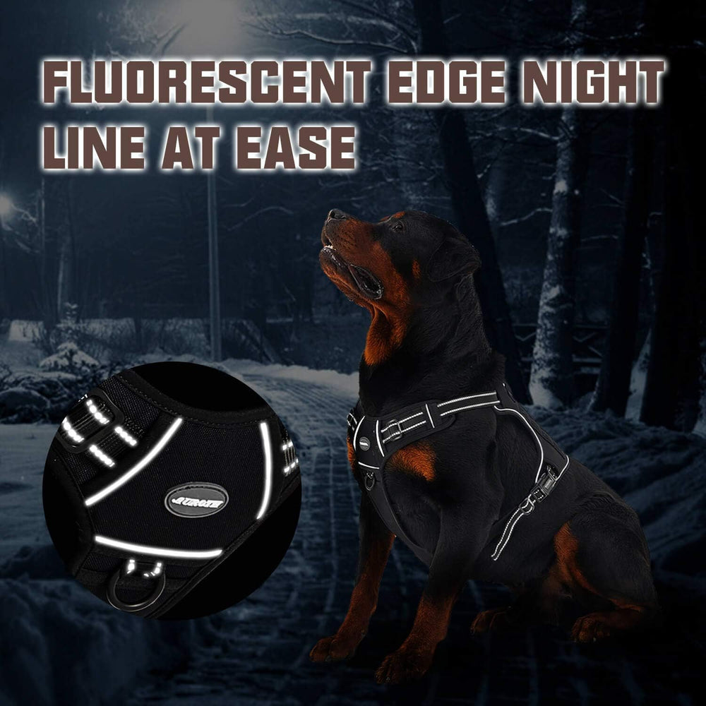 AUROTH Tactical Dog Harness worn by a dog on an outdoor walk.