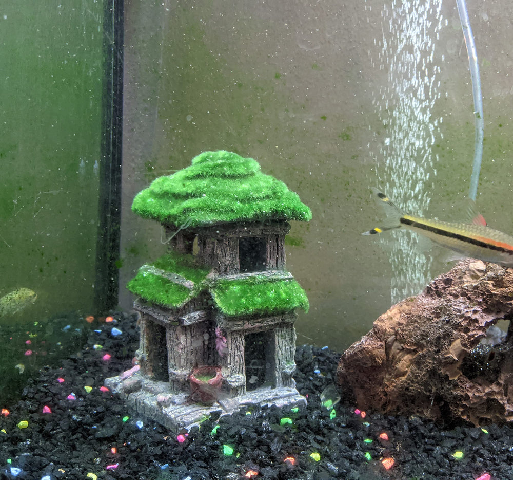 AWXZOM Fish House shown from an alternate angle to display its shape.