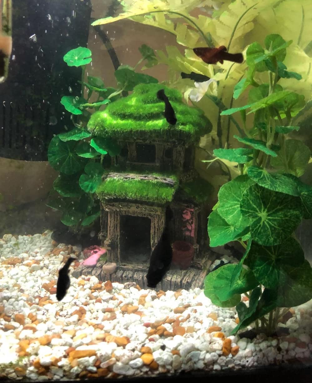 AWXZOM Fish House shown as an aquarium decoration in a tank.