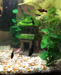 AWXZOM Fish House shown as an aquarium decoration in a tank.