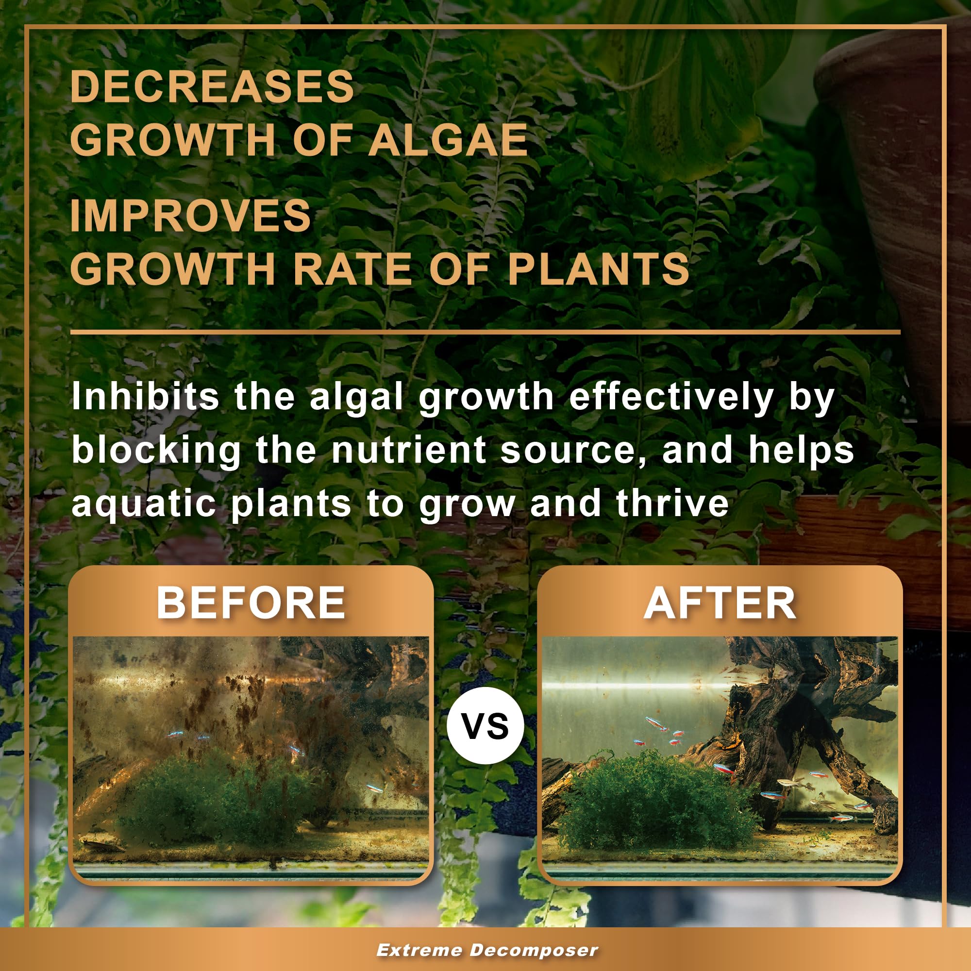 Azoo BIO XD shown in a saltwater aquarium setting.