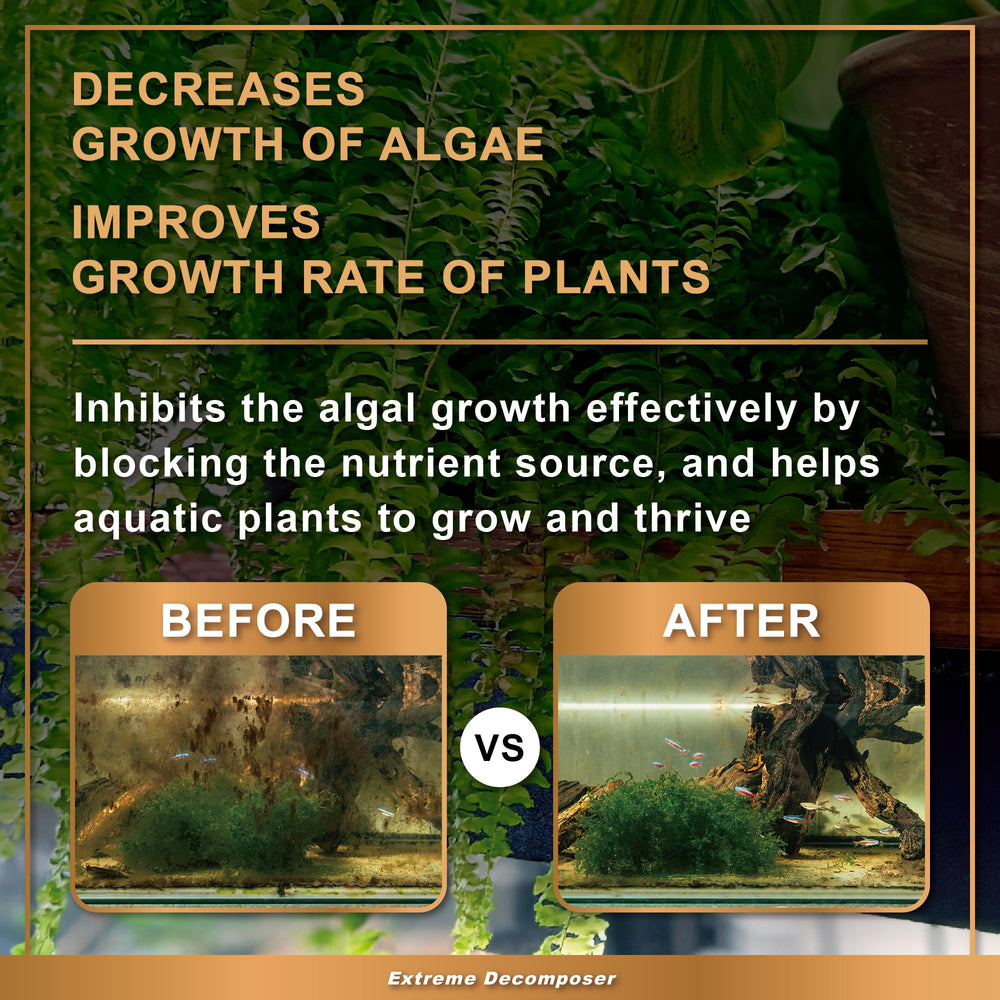 Azoo BIO XD shown in a saltwater aquarium setting.