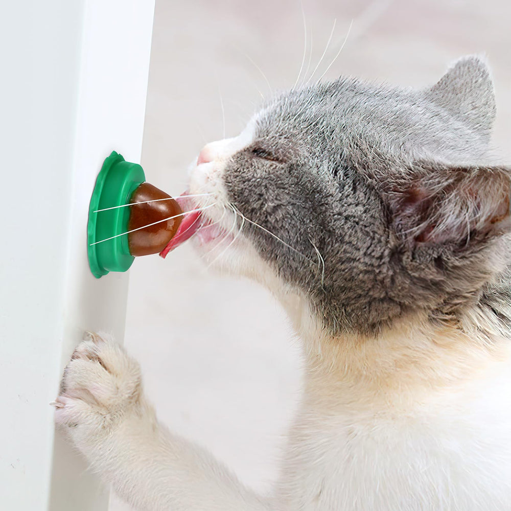 balacoo cat snack ball packaging shown with the product.