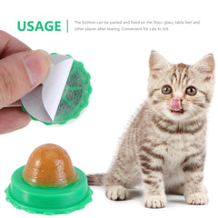 balacoo cat snack ball cover shown in close-up.