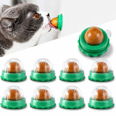 balacoo cat snack ball set shown from the front.