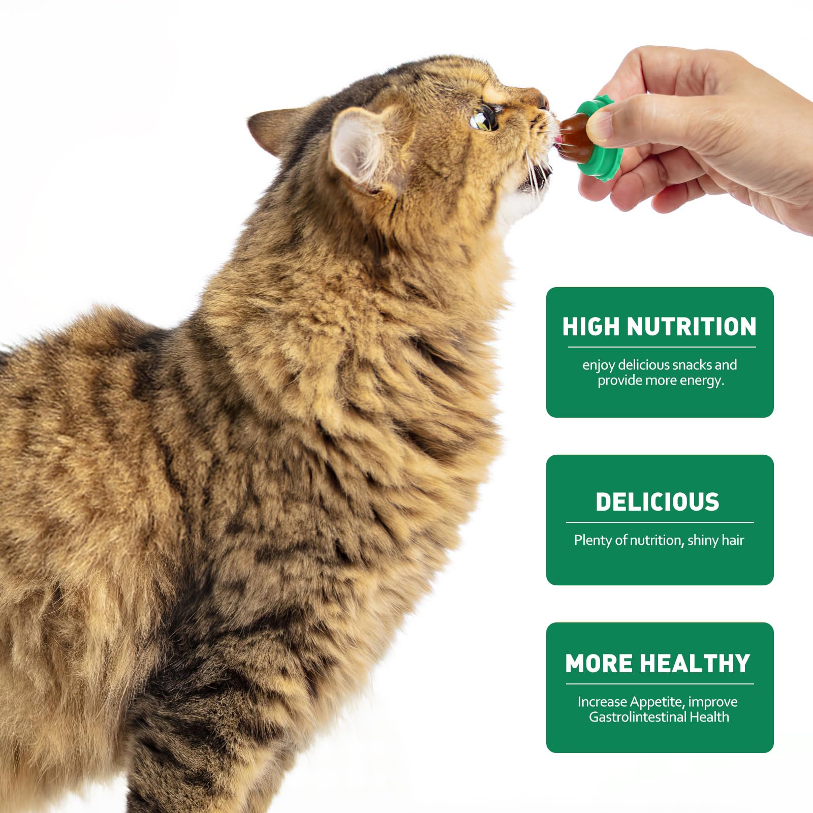 balacoo cat snack ball shown from a side angle.