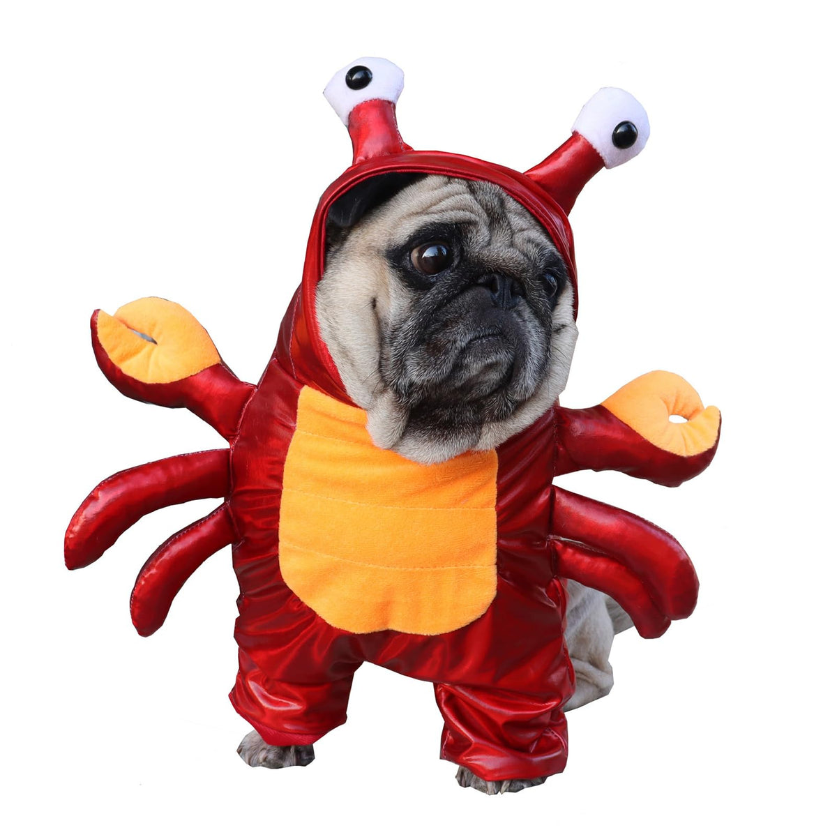 BAMY dog crab costume shown from the front as a pet hoodie.