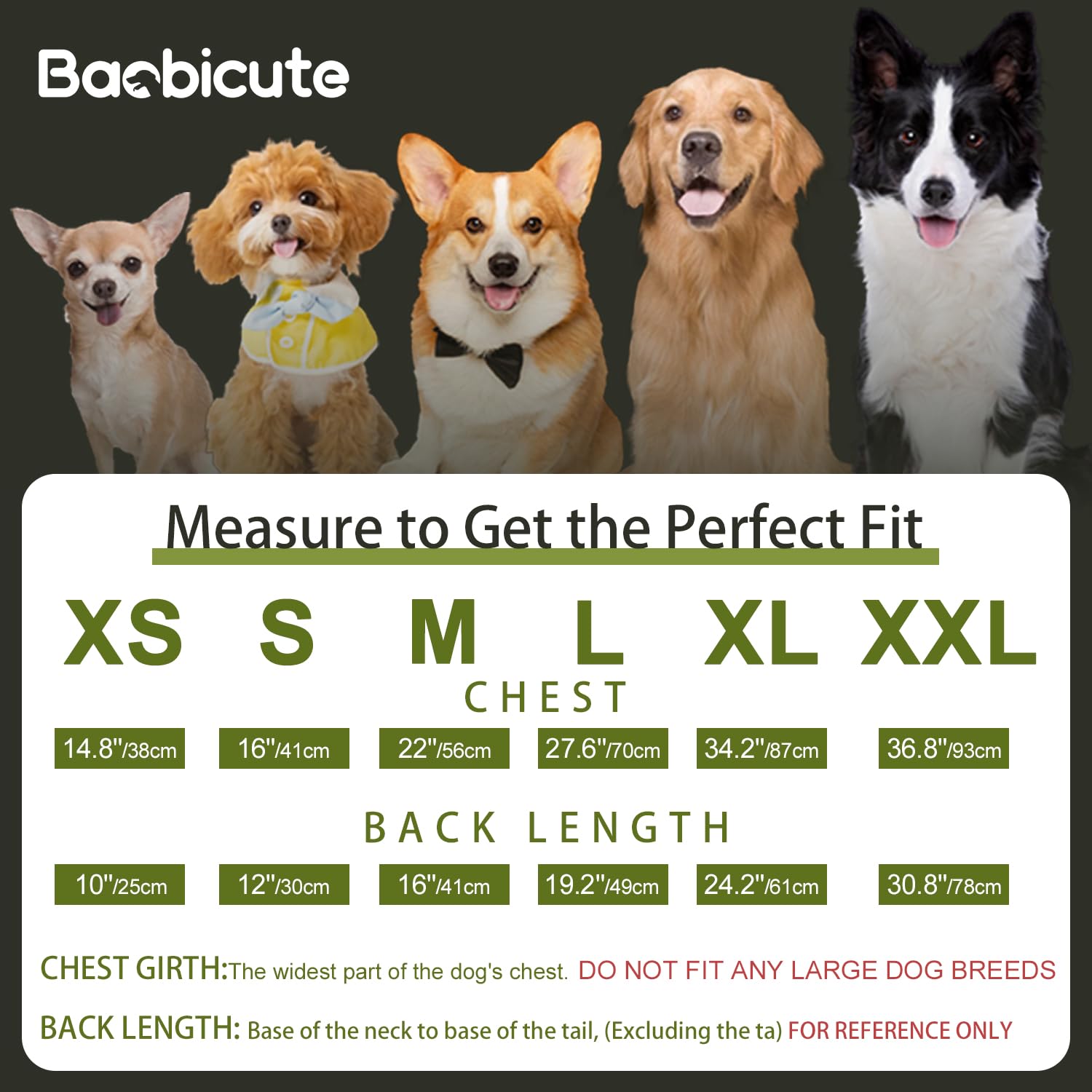 A dog wearing the BAOBICUTE Dog Basic Hoodie.