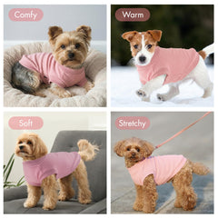 BAOBICUTE dog shirt shown as a clothing option for different seasons.