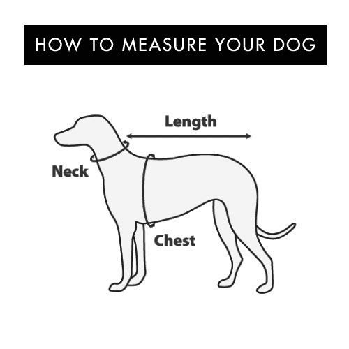 Bark Appeal dog harness detail showing the adjustable strap.