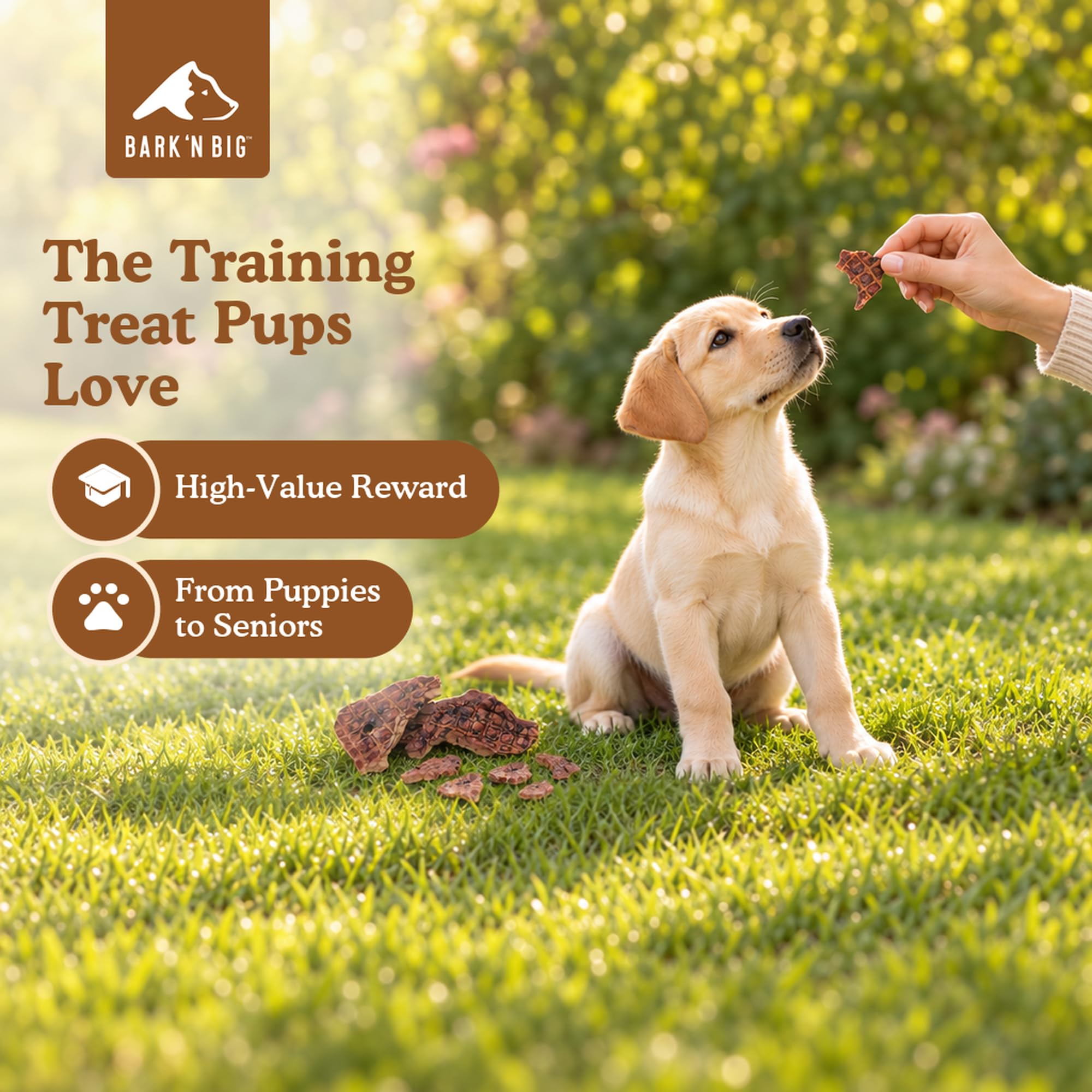 BARK'N BIG Lamb Lung Dog Treats broken into small training reward bites.