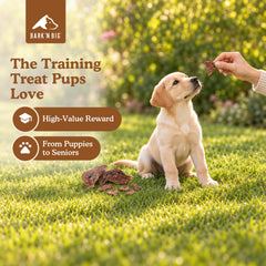 BARK'N BIG Lamb Lung Dog Treats broken into small training reward bites.
