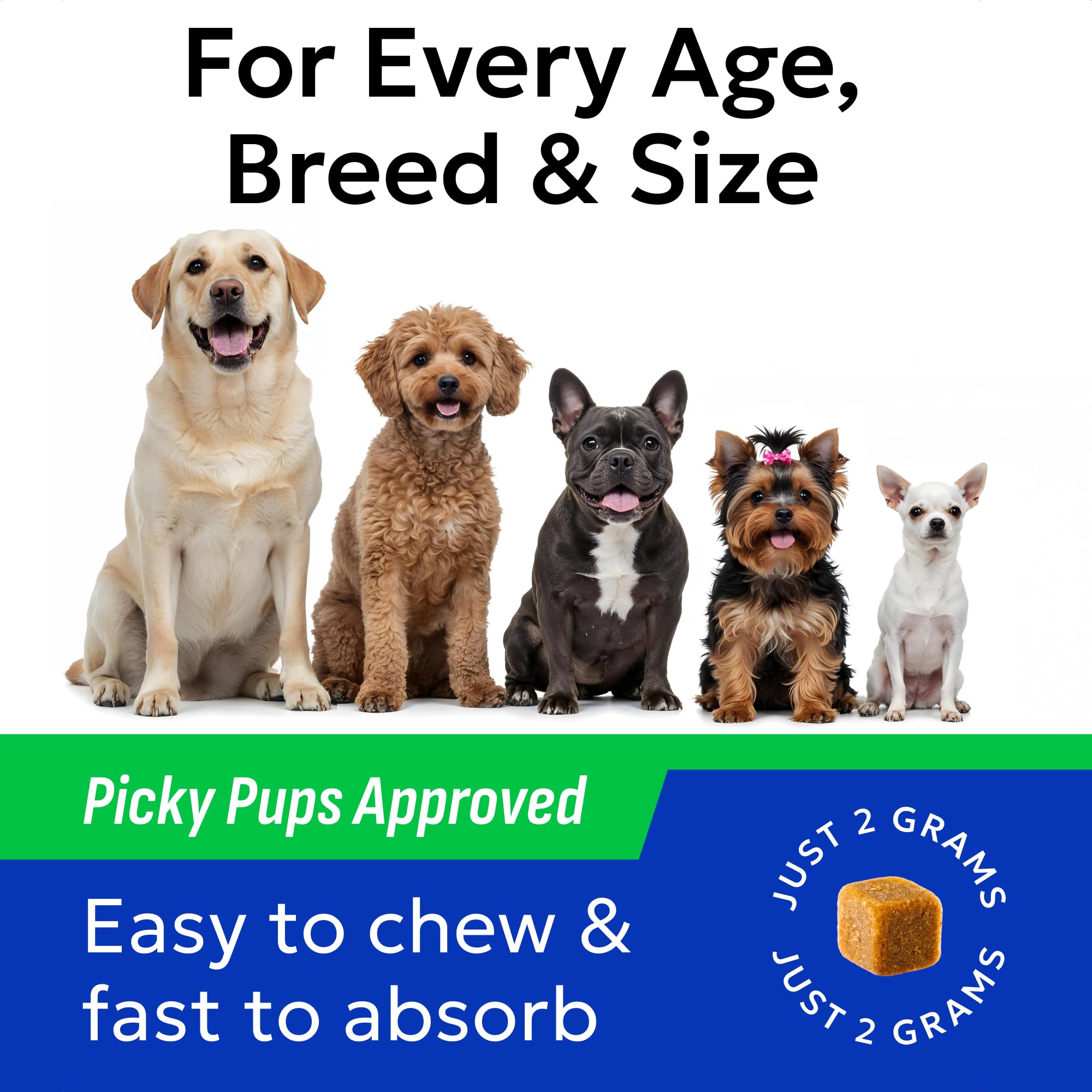 Detail view of the label on BARK&SPARK Dog Probiotic Chews.