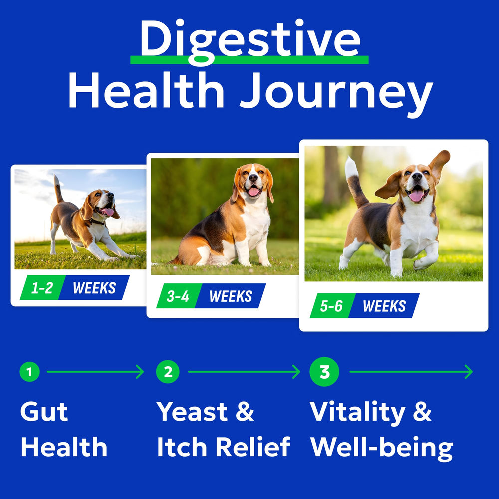 BARK&SPARK Dog Probiotic Chews shown for a multi-dog household.